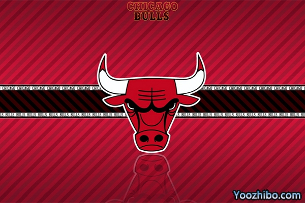 <a href=/lanqiusai/bulls/ target=_blank class=infotextkey>公牛</a>队