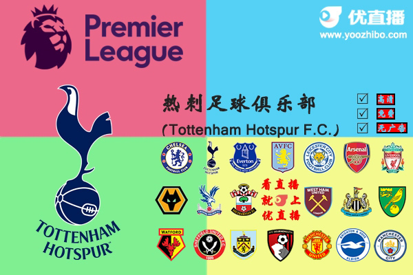 2019-20赛季<a href=/zuqiusai/hotspur/ target=_blank class=infotextkey>热刺</a>阵容名单一览