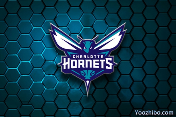 2019-2020赛季<a href=/lanqiusai/hornets/ target=_blank class=infotextkey>黄蜂</a>队队徽